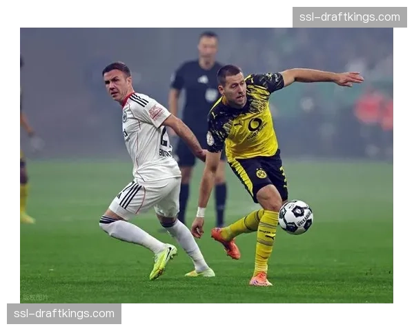 德甲早场战报:奥格斯堡主场1-0小胜海登海姆,德米洛维奇点射制胜